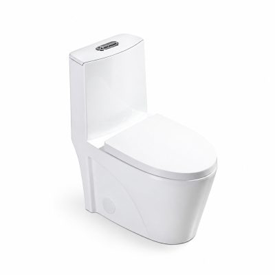 WC školjka s vodokotlićem i soft-close poklopcem, bijela